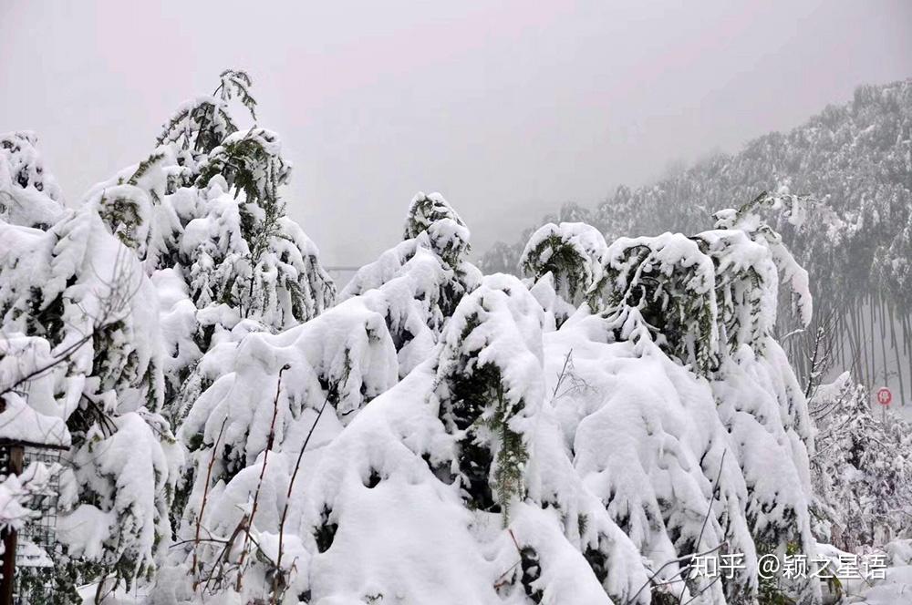 A scenic view of Huzhou Dusongguan He Guyidao
