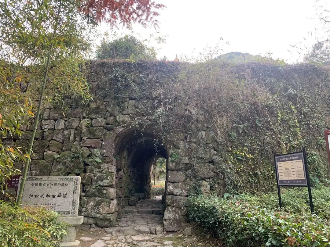 A scenic view of Huzhou Dusongguan He Guyidao