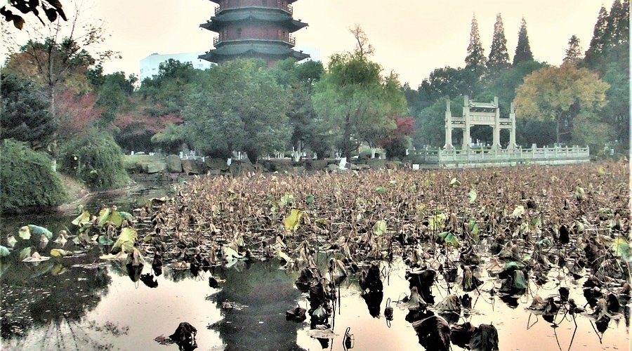 A scenic view of Huzhou Feiyingta