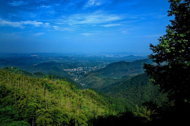 A scenic view of Huzhou Moganshan Bieshuqun