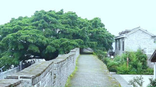 A scenic view of Jian Wanan Chengqiang