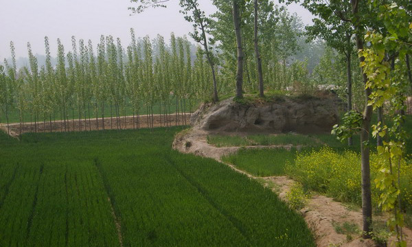 A scenic view of Jiaozuo Xijinchengyizhi