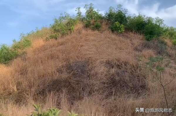 A scenic view of Jiaozuo Zhuzaizhumu