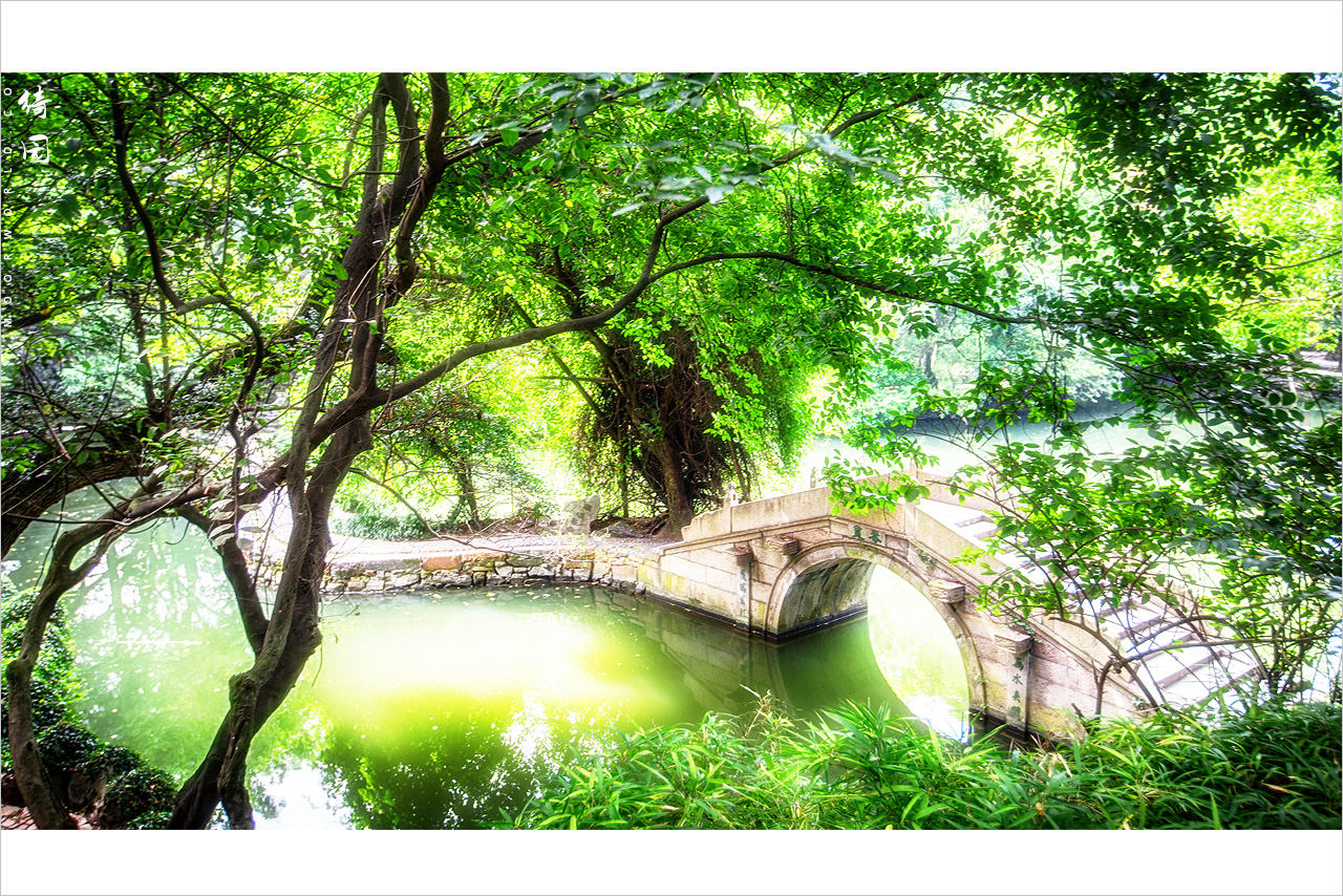 A scenic view of Jiaxing Qiyuan