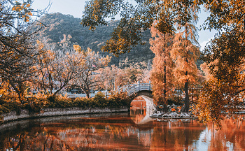 A scenic view of Jiaxing Qiyuan