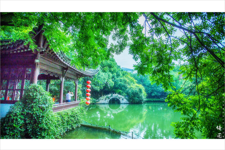 Experience Serenity at Jiaxing Qiyuan: Nature and Culture Combined