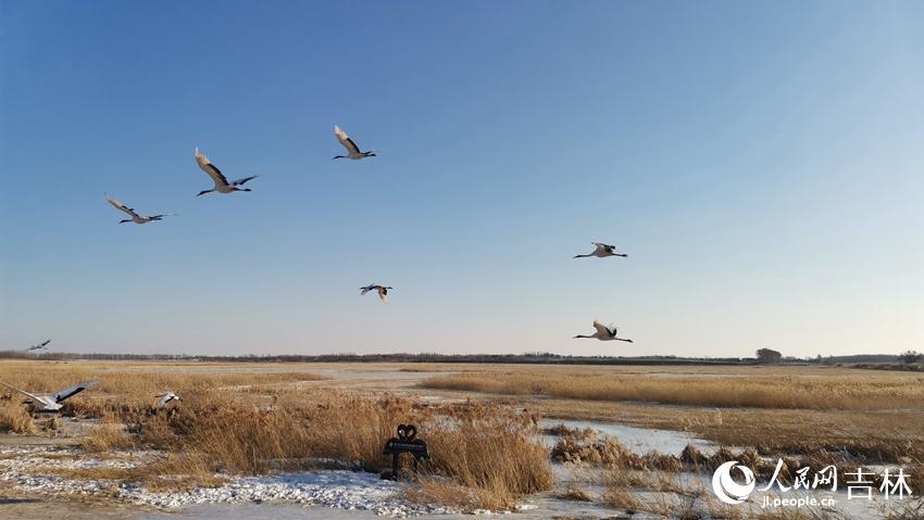 A scenic view of Jilin Dahaimeng Yizhi
