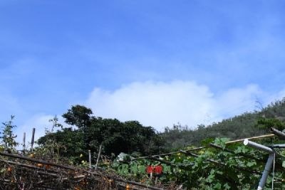 A scenic view of Jilin Dahaimeng Yizhi
