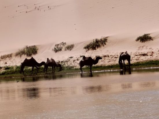 A scenic view of Jilin Dahaimeng Yizhi