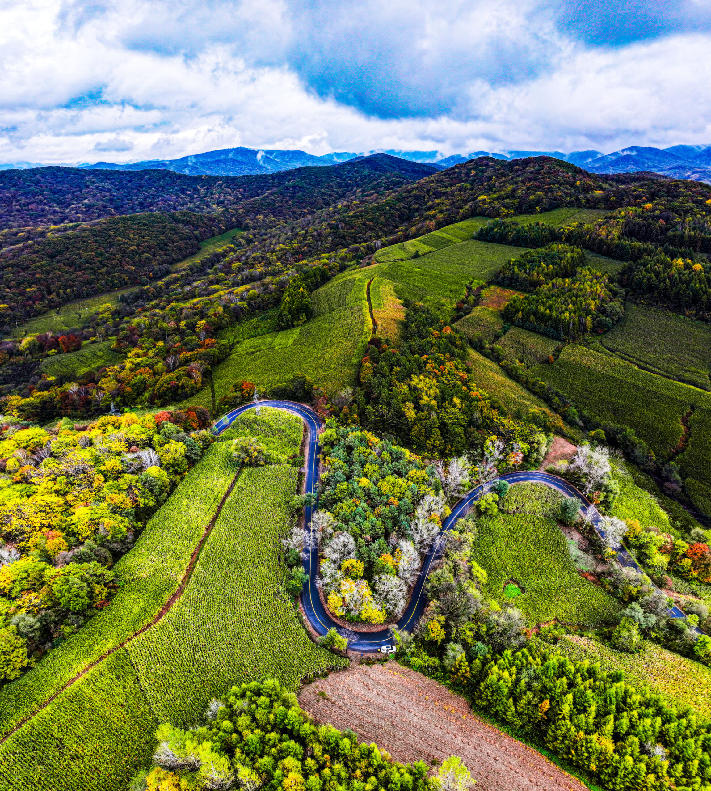 A scenic view of Jilin Dongtuanshan Yizhi