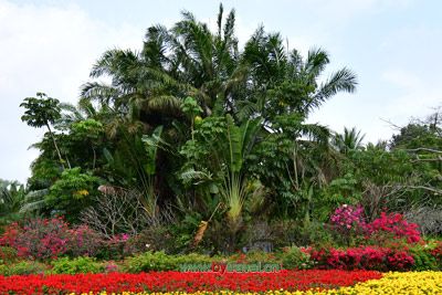 A scenic view of Jilin Sumicheng