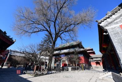 A scenic view of Jincheng Pingshang Tangdi Temple