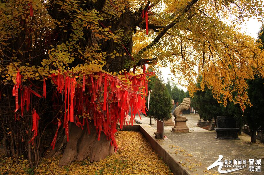 A scenic view of Jincheng Zezhou Daimiao