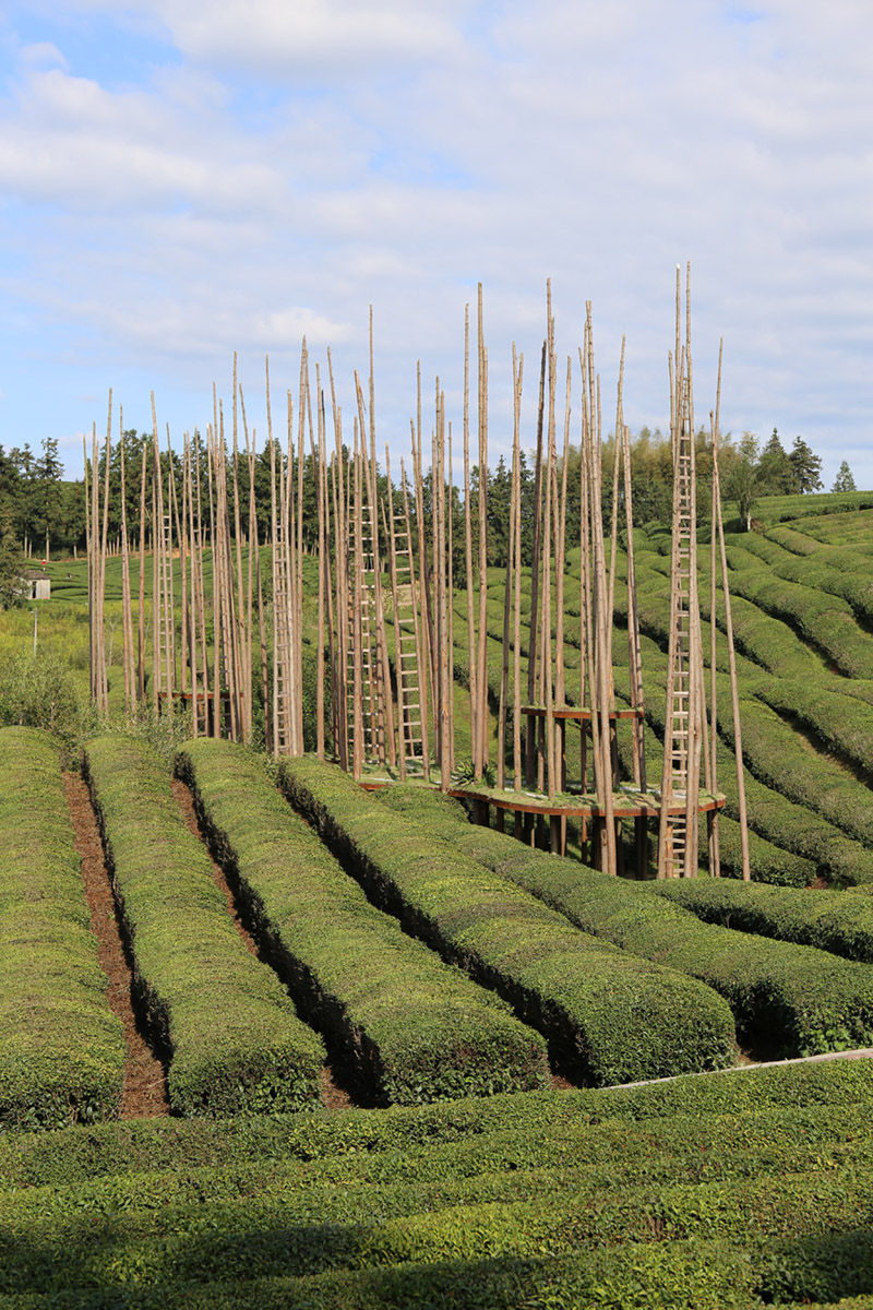 A scenic view of Jingdezhen Fuliang Shuangfengta