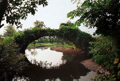 A scenic view of Jinhua Guyueqiao
