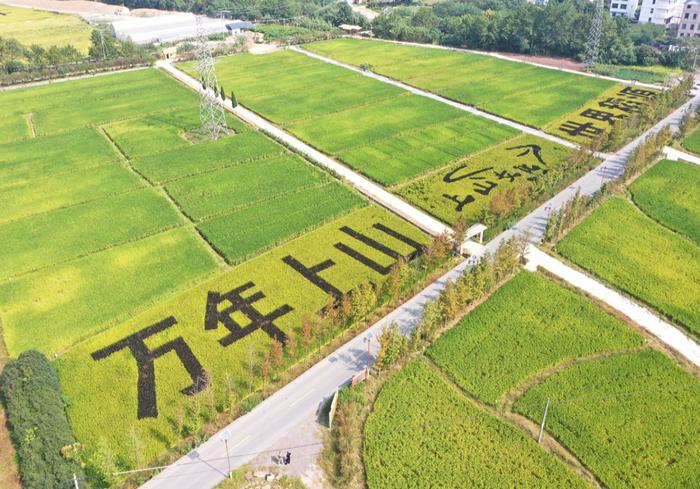 A scenic view of Jinhua Shangshan Yizhi