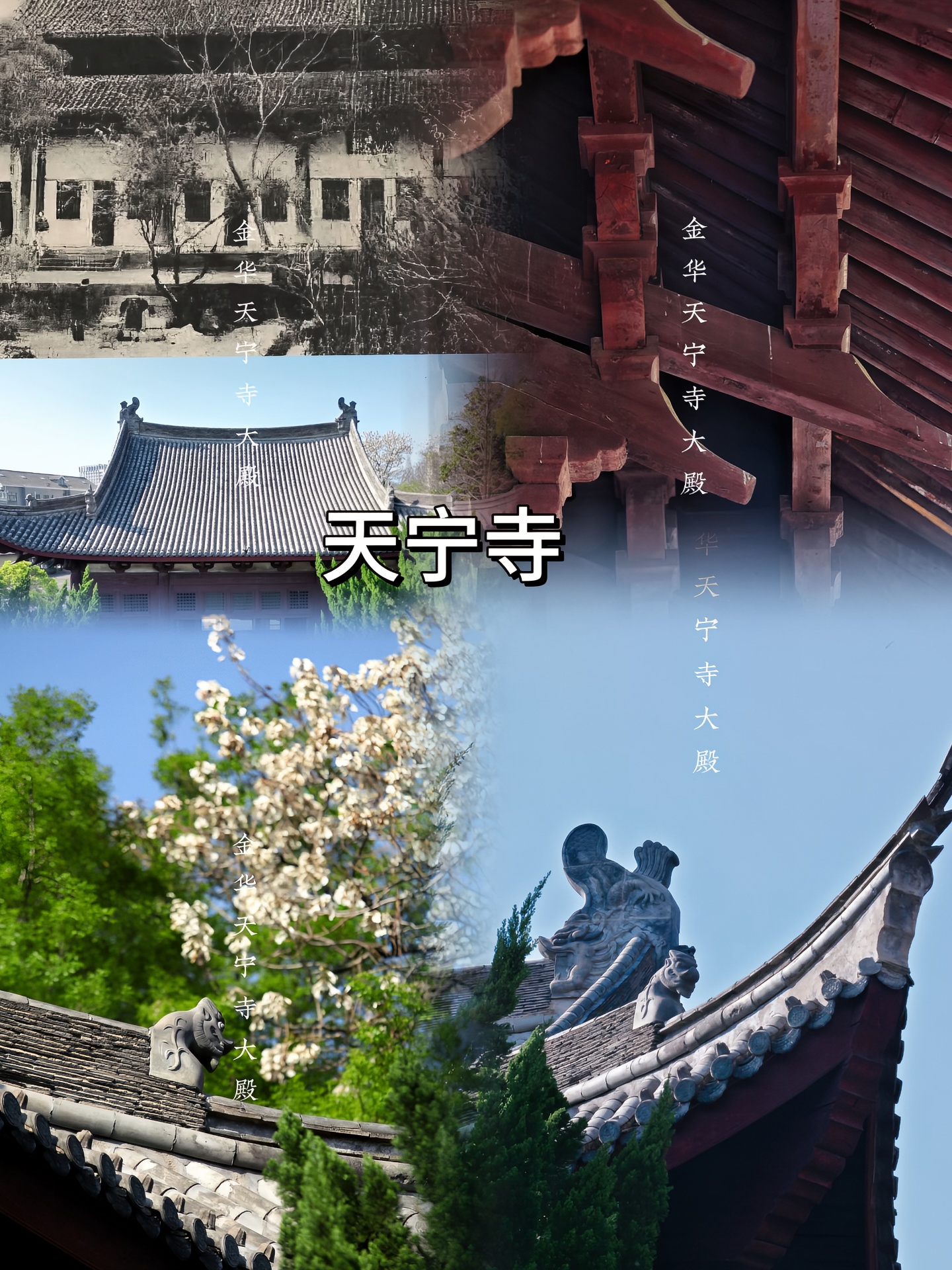 A scenic view of Jinhua Tianningsi Dadian