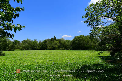 A scenic view of Jinhua Yuqingtang
