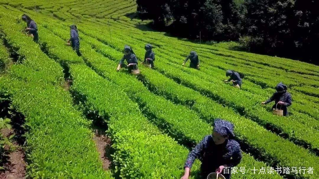A scenic view of Jinhua Yushan Guchachang