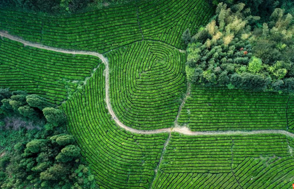A scenic view of Jinhua Yushan Guchachang