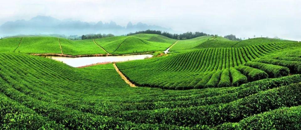 A scenic view of Jinhua Yushan Guchachang