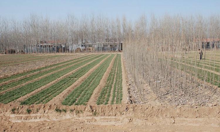 A scenic view of Jining Jiabai Yizhi