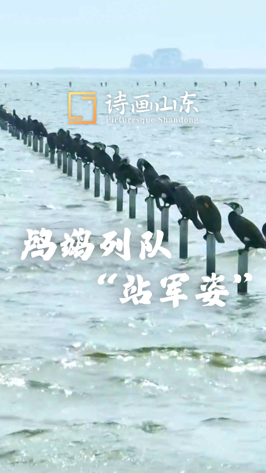 A scenic view of Jining Jiaxiang Wushi Muqun Shike