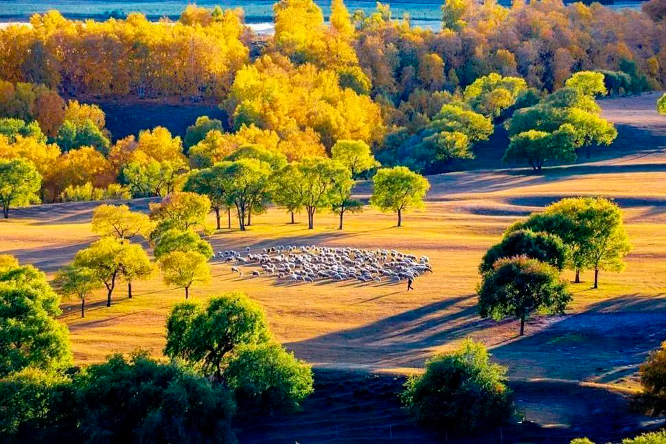 A scenic view of Jining Jinkou Ba
