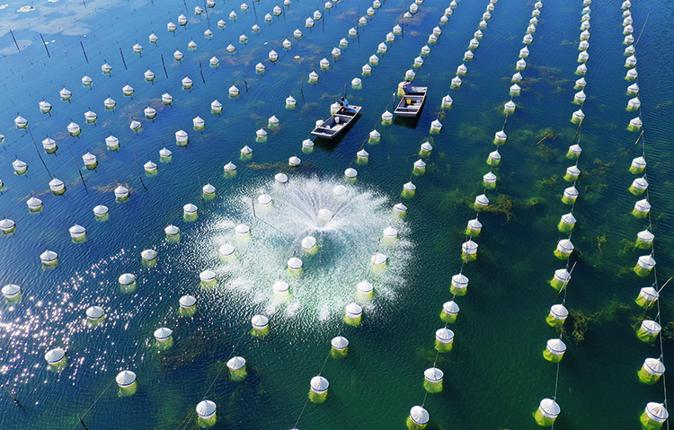 A scenic view of Jining Jinkou Ba