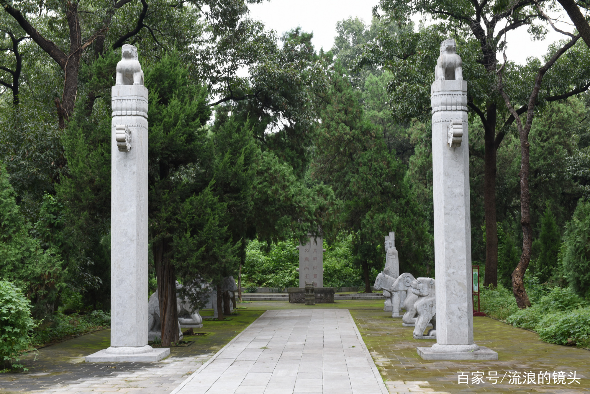A scenic view of Jining Konglin