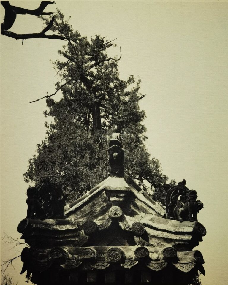 A Traveler’s Guide to Jining Konglin: Uncovering the Wonders of Shandong