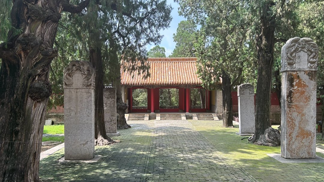 A scenic view of Jining Mengmu Lin Muqun