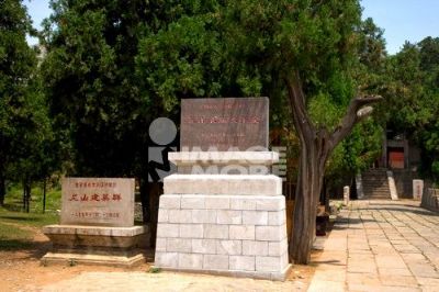 A scenic view of Jining Nishan Kongmiao He Shuyuan