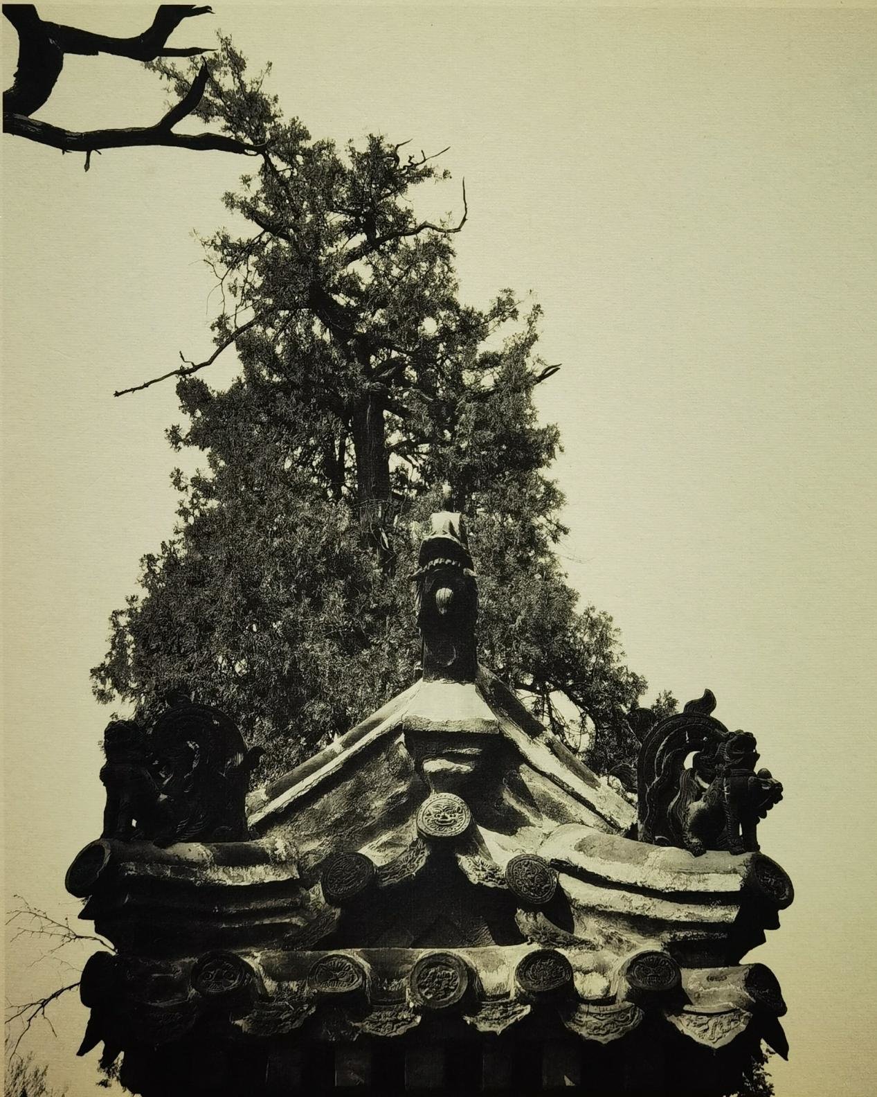 A scenic view of Jining Qufu Kongmiao Ji Kongfu