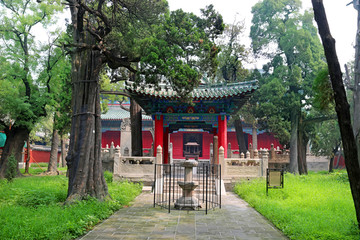A scenic view of Jining Yanmiao