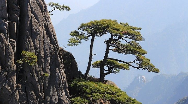 A scenic view of Jiujiang Lushan Yubeiting
