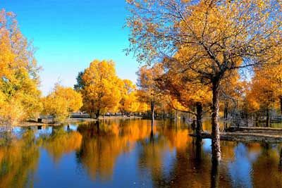 A scenic view of Jiuquan Ganggangwa Yizhi