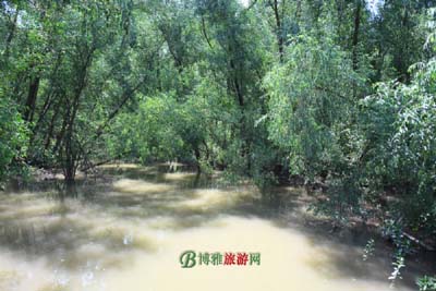 A scenic view of Jiuquan Huoshiliang Yizhi