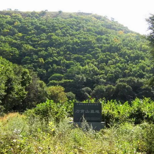 A scenic view of Jixi Daobeishan Mudi