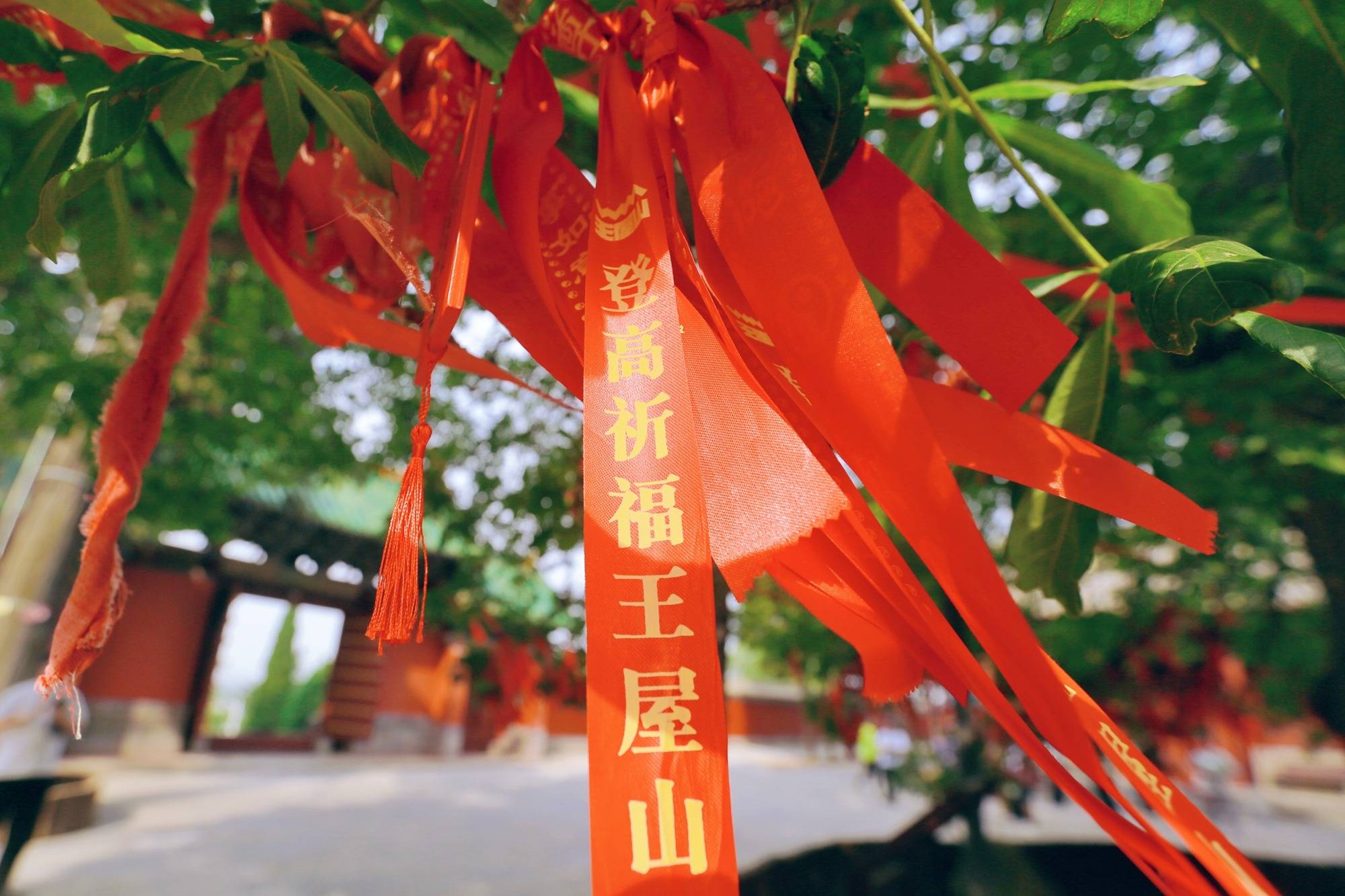 A scenic view of Jiyuan Yangtaigong