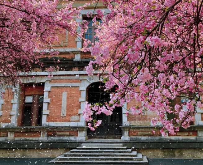 A scenic view of Kunming Yunnan Daxue Huizeyuan