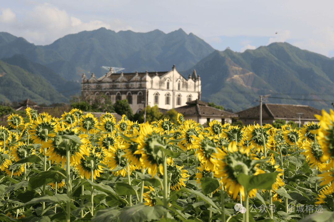 A scenic view of Laibin Wuxuan Liushi Zhuangyuan
