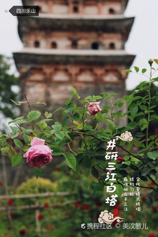 A scenic view of Leshan Sanjiang Baita