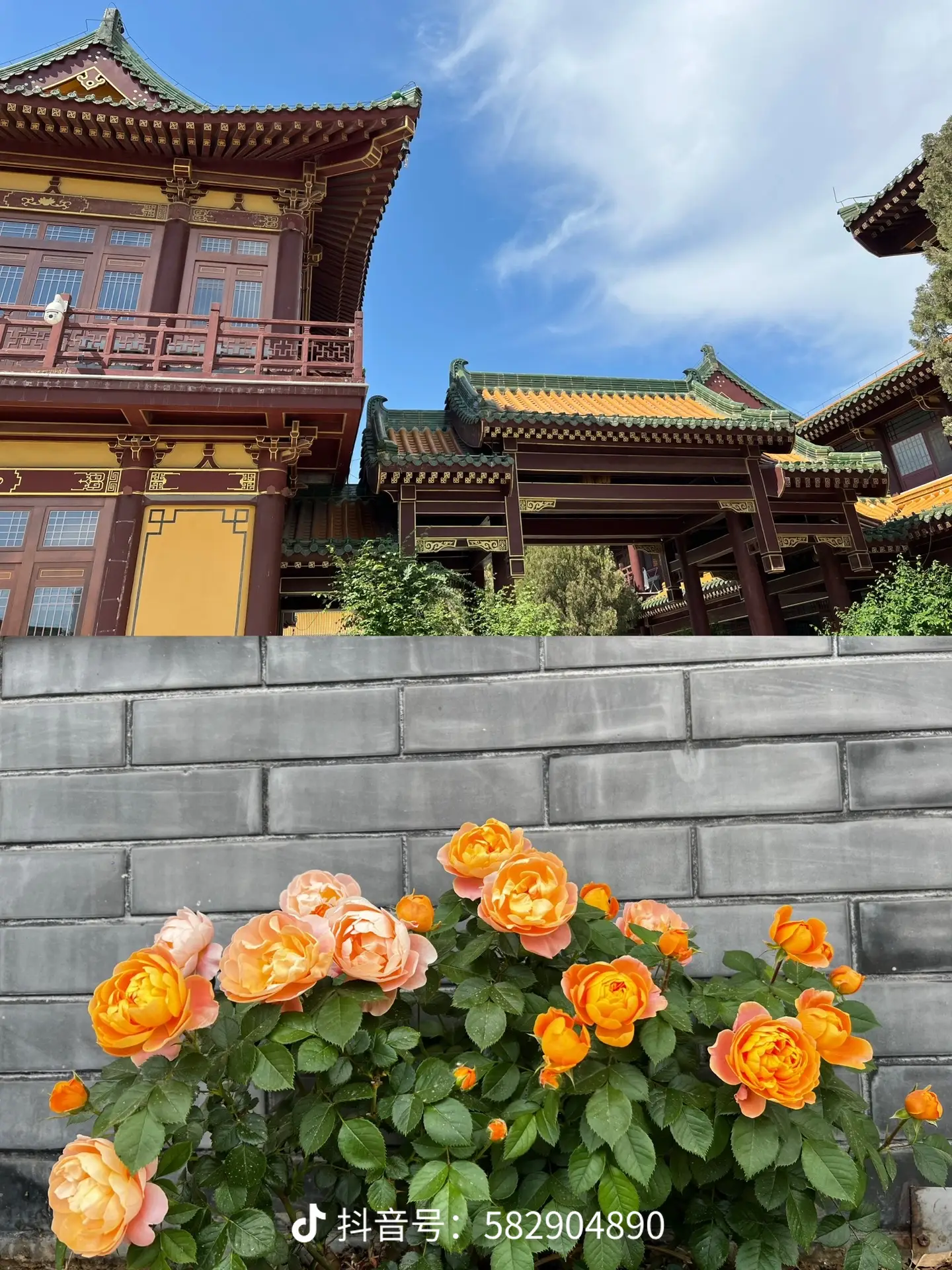 A scenic view of Liaocheng Longxingsi Tieta