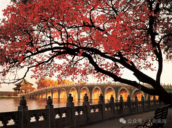 A scenic view of Liaocheng Tuqiao Zha Yizhi