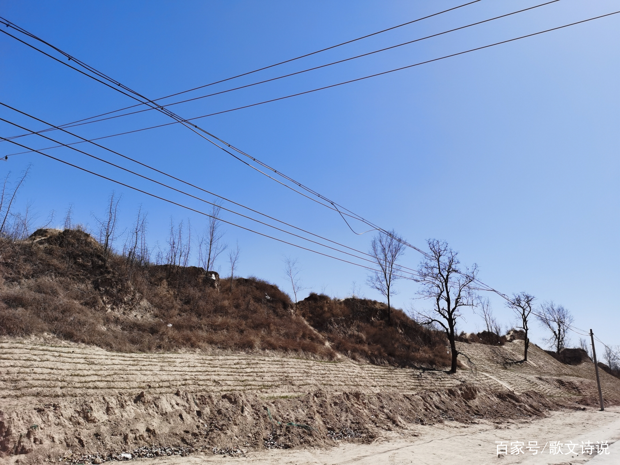 A scenic view of Liaocheng Xiaocheng Yizhi