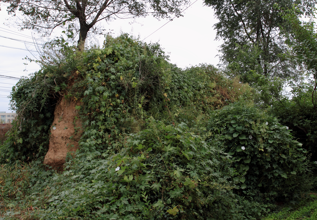 A scenic view of Liaoyang Dongjingcheng Chengzhi