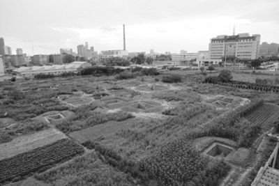A scenic view of Liaoyang Miaopu Hanmuqun