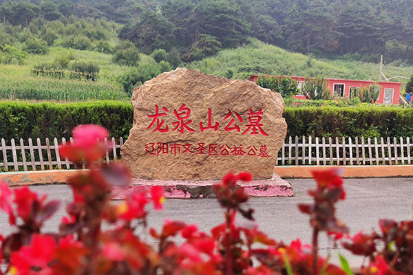 A scenic view of Liaoyang Miaopu Hanmuqun