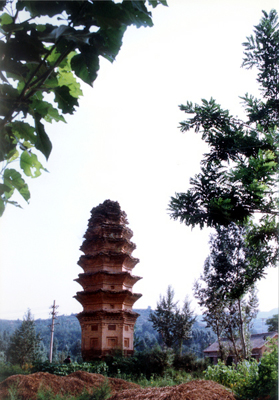 A scenic view of Linfen Mayi Temple Brick Pagoda
